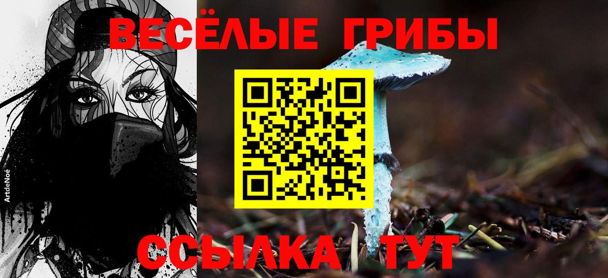 Псилоцибиновые грибы MAGIC MUSHROOMS  Вход с VPN  Иркутск 